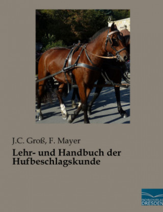 Buch Lehr- und Handbuch der Hufbeschlagskunde J. C. Groß