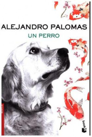 Kniha Un perro Alejandro Palomas
