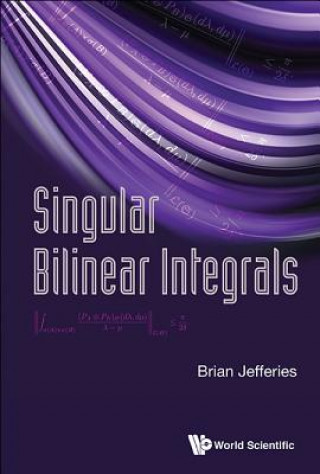 Kniha Singular Bilinear Integrals Brian Jefferies