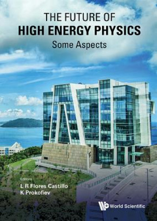 Livre Future Of High Energy Physics, The - Some Aspects Luis Roberto Flores Castillo