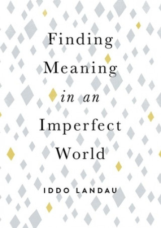 Kniha Finding Meaning in an Imperfect World Iddo Landau