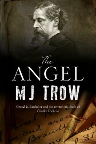 Kniha Angel M J Trow