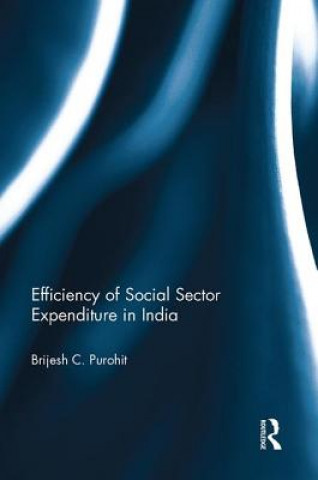 Kniha Efficiency of Social Sector Expenditure in India Brijesh C. Purohit