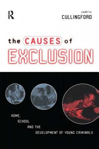 Βιβλίο Causes of Exclusion Professor Cedric Cullingford