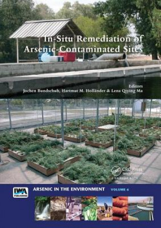 Buch In-Situ Remediation of Arsenic-Contaminated Sites 