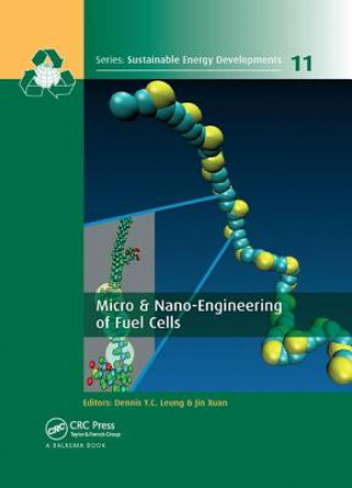 Carte Micro & Nano-Engineering of Fuel Cells 