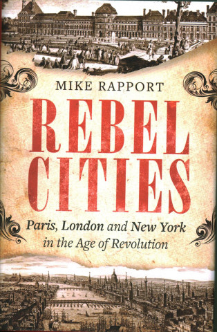 Kniha Rebel Cities Michael Rapport