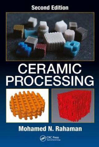 Knjiga Ceramic Processing RAHAMAN