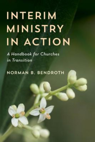 Könyv Interim Ministry in Action Norman B. Bendroth