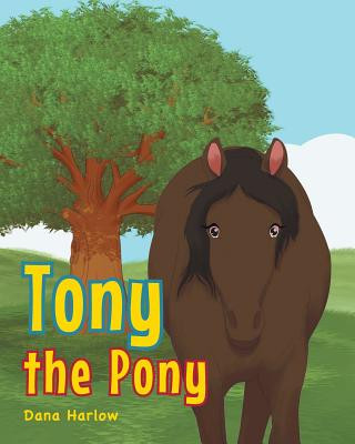 Buch Tony the Pony Dana Harlow