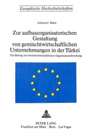 Kniha Zur aufbauorganisatorischen Gestaltung von gemischtwirtschaftlichen Unternehmungen in der Tuerkei Gökhan C. Bahsi