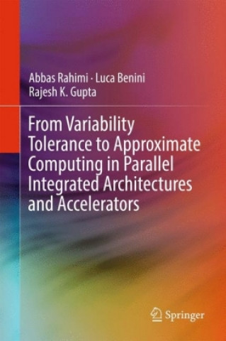 Kniha From Variability Tolerance to Approximate Computing in Parallel Integrated Architectures and Accelerators Abbas Rahimi