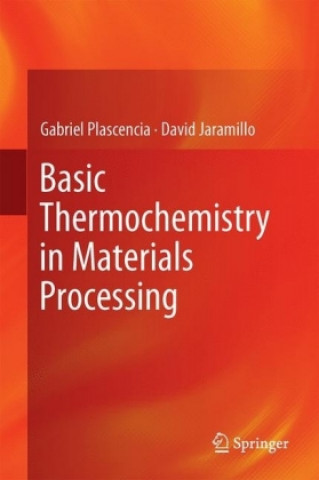 Boek Basic Thermochemistry in Materials Processing Gabriel Plascencia