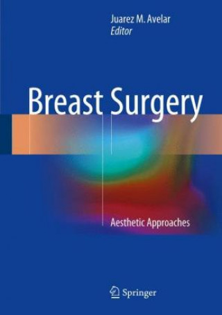 Kniha Breast Surgery Juarez M. Avelar