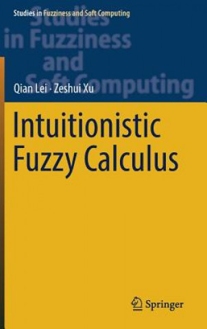 Könyv Intuitionistic Fuzzy Calculus Qian Lei