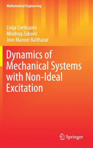 Buch Dynamics of Mechanical Systems with Non-Ideal Excitation Livija Cveticanin