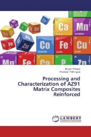 Książka Processing and Characterization of AZ91 Matrix Composites Reinforced Brijesh Prasad