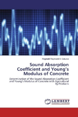 Könyv Sound Absorption Coefficient and Young's Modulus of Concrete Reginald Raymund A. Caturza