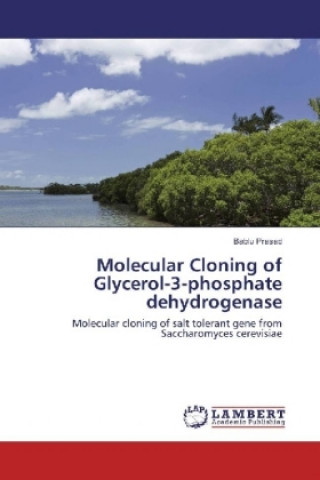 Könyv Molecular Cloning of Glycerol-3-phosphate dehydrogenase Bablu Prasad