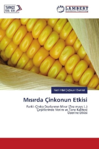 Book Misirda Çinkonun Etkisi Nazli Hilal Çaglayan Dumral