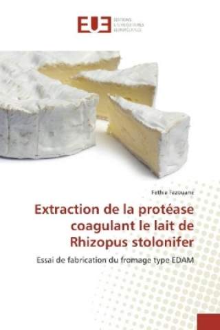 Könyv Extraction de la protéase coagulant le lait de Rhizopus stolonifer Fethia Fazouane