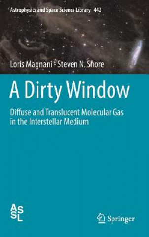 Kniha Dirty Window Loris Magnani