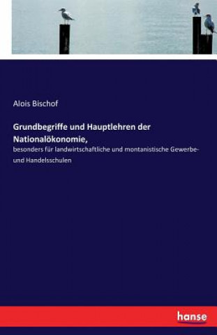 Kniha Grundbegriffe und Hauptlehren der Nationaloekonomie, Alois Bischof