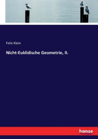 Buch Nicht-Euklidische Geometrie, II. Felix Klein