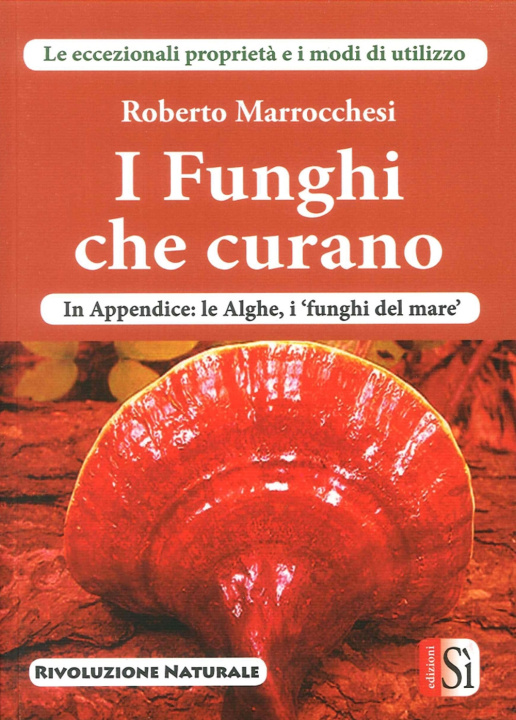 Livre I funghi che curano Roberto Marrocchesi