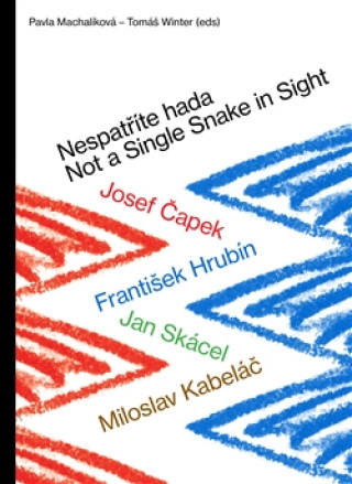 Carte Nespatříte hada / Not a Single Snake in Sight Pavla Machalíková