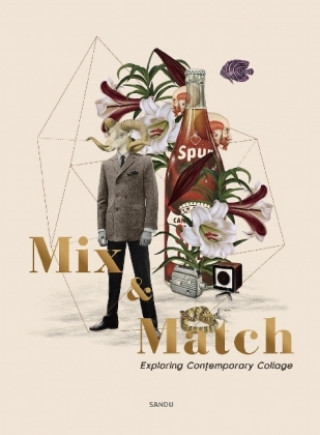 Kniha Mix & Match Sandu Publishing