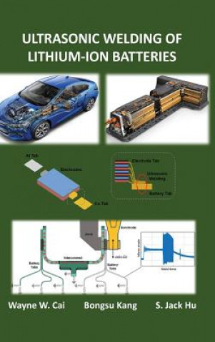 Kniha Ultrasonic Welding of Lithium-Ion Batteries Wayne W. Cai