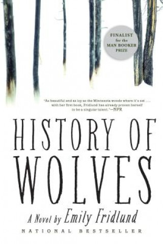 Könyv History of Wolves Emily Fridlund