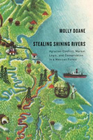 Kniha Stealing Shining Rivers Molly Doane