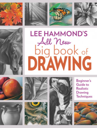 Книга Lee Hammond's All New Big Book of Drawing Lee Hammond