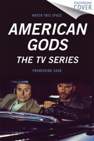 Książka American Gods Neil Gaiman