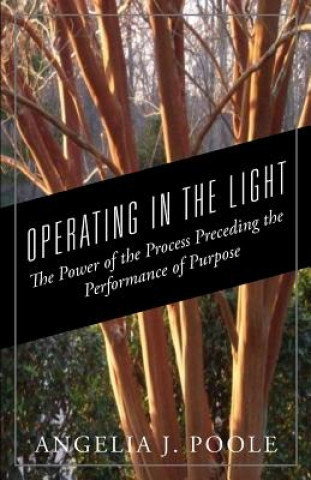 Book Operating in the Light Angelia J. Poole