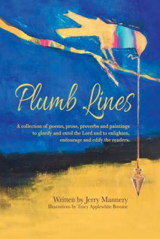 Boek Plumb Lines Jerry Mannery