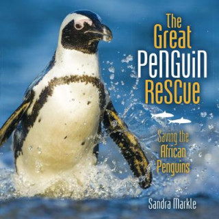 Carte The Great Penguin Rescue: Saving the African Penguins Sandra Markle