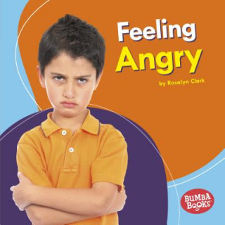 Kniha Feeling Angry Rosalyn Clark