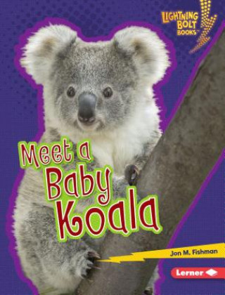 Kniha Meet a Baby Koala Jon Fishman