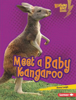 Kniha Meet a Baby Kangaroo Anna Leigh