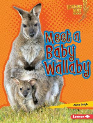 Książka Meet a Baby Wallaby Anna Leigh