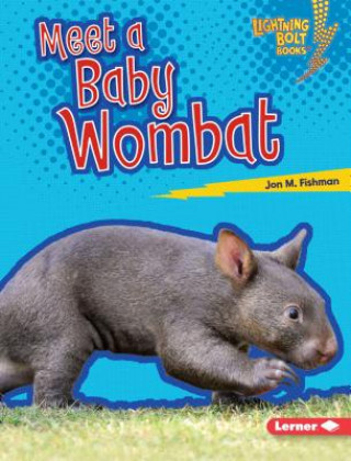 Kniha Meet a Baby Wombat Jon M. Fishman