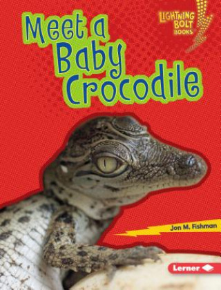 Carte Meet a Baby Crocodile Jon M. Fishman