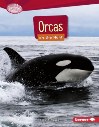 Книга Orcas on the Hunt Alicia Klepeis