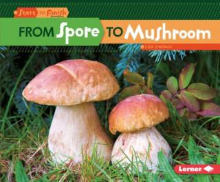 Carte From Spore to Mushroom Lisa Owings