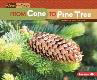 Kniha From Cone to Pine Tree Emma Berne