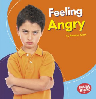 Kniha Feeling Angry Rosalyn Clark