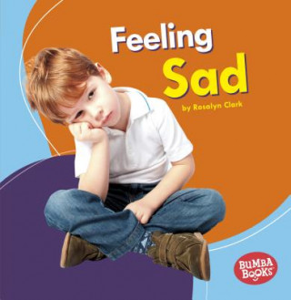 Buch Feeling Sad Rosalyn Clark